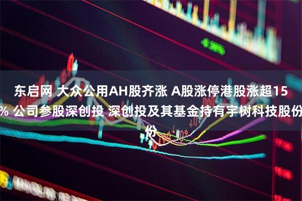 东启网 大众公用AH股齐涨 A股涨停港股涨超15% 公司参股深创投 深创投及其基金持有宇树科技股份