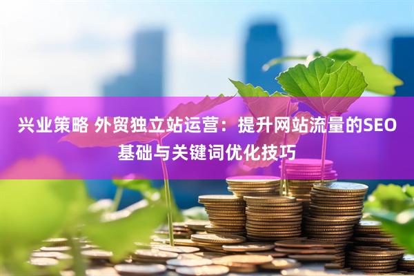 兴业策略 外贸独立站运营：提升网站流量的SEO基础与关键词优化技巧